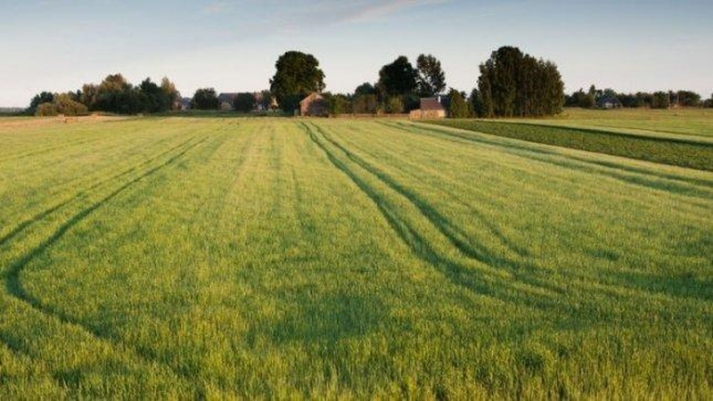 Verslo atstovai: didesnis sklypų apmokestinimas skatins žemės rinką