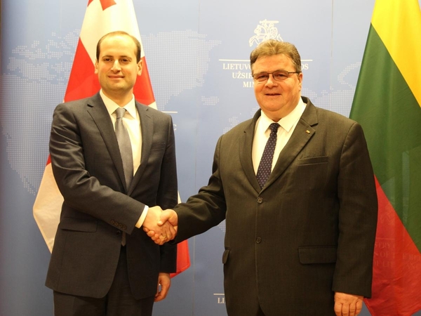 Michailas Janelidzė ir Linas Linkevičius