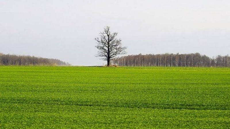 Pasiūlymas – neleisti įsigyti žemės Lietuvoje ne ES piliečiams