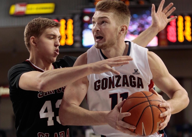 Talentas: D.Sabonis jau blykstelėjo pasaulio krepšinio arenose.