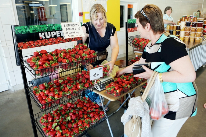 Leidimai prekybai braškėmis turguje ar ledais pajūryje - internetu 