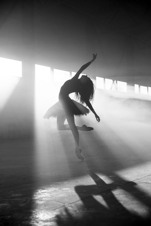 Baleto artistų metų puota – choreografijos vakaras „Kūrybinis impulsas 5“ 
