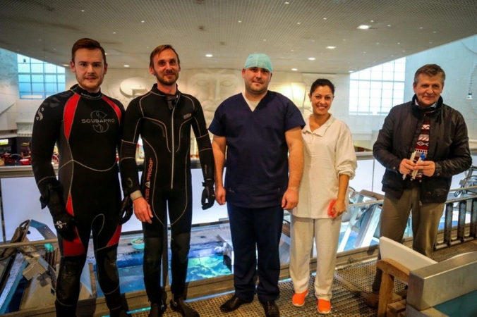 Lietuvoje pirmą kartą operuotas ryklys