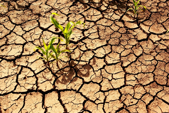 Dėl klimato kaitos daugėja ekstremalių meteorologinių reiškinių