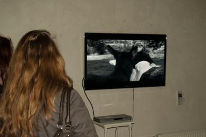 Besidomintiems videomenu – paroda ir paskaita