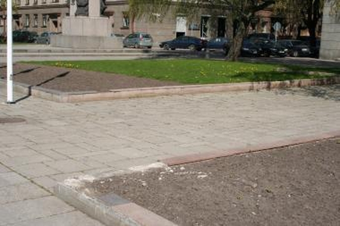 Prie savivaldybės žydi tik pienės