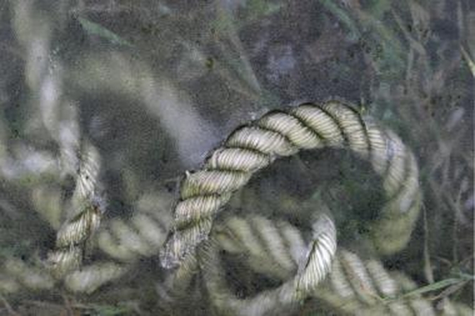 Vilniuje rastas vyro kūnas, surištomis rankomis