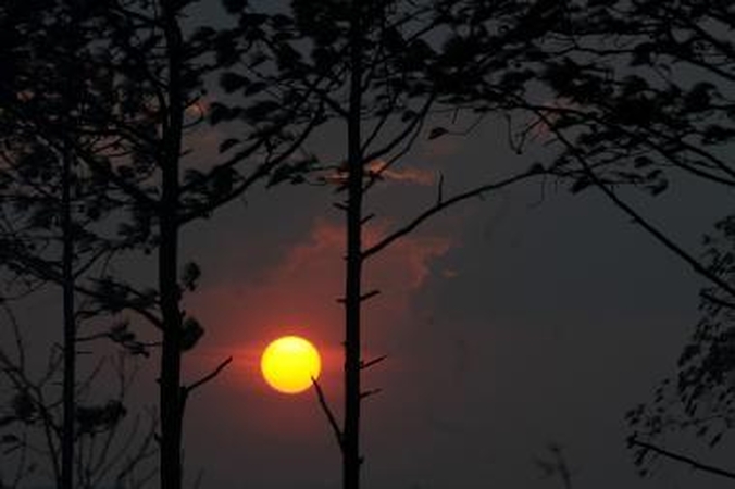 Dėl kauniečio žūties gali būti kalta mėnulio pilnatis 