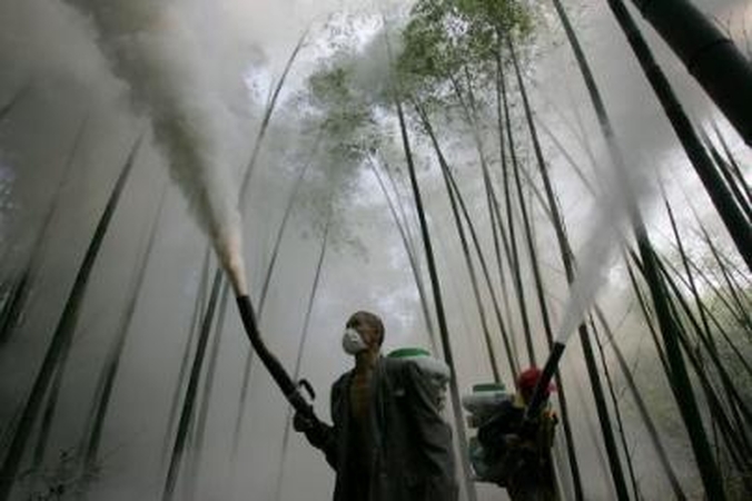 Vilniuje – didelę grėsmę keliančios pesticidų atliekos
