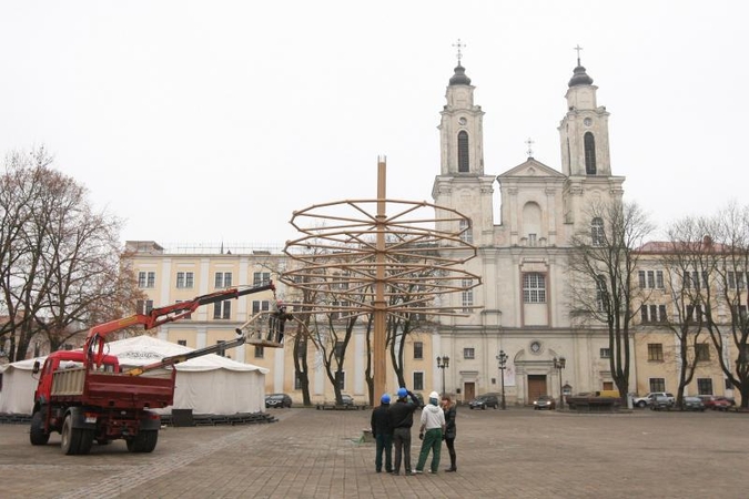 Rotušės aikštėje Hanzos medį pakeis Kalėdų eglė