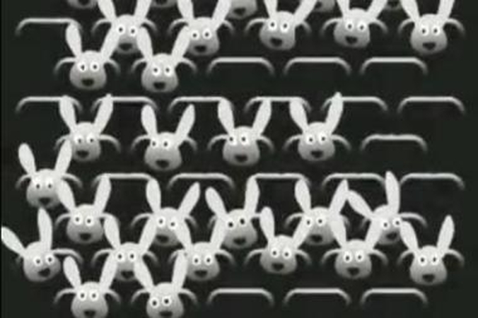 Apdovanoti „Pravda 1 minutė“ filmų kūrėjai
