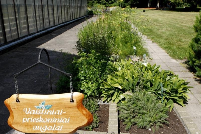 Botanikos parkui Palangoje ir kempingui Nemirsetoje – ministerijos dėmesys