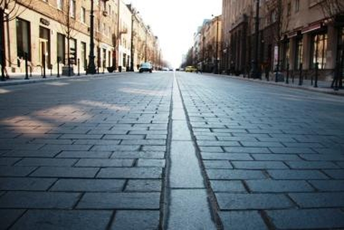Vilnių užplūs 100 kiškių