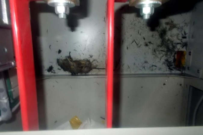 Fukušimos atominėje jėgainėje vėl sugedo kuro strypų aušinimo sistema
