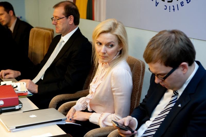 Darbo partijos byloje galutinai baigta liudytųjų apklausa
