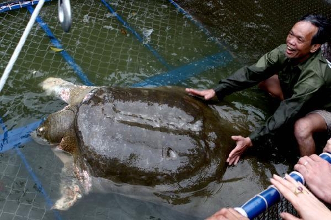 Prieš 150 metų išnykę Galapagų vėžliai sugrįžo