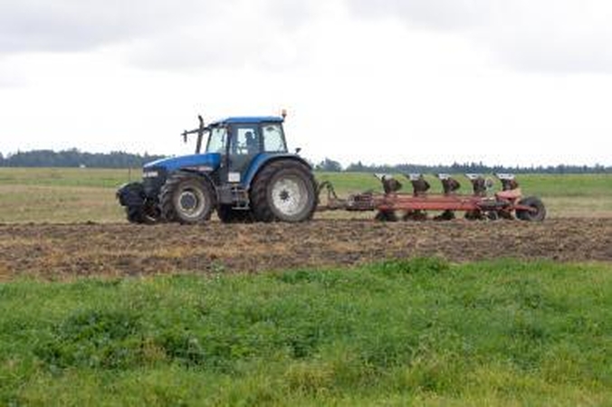 "Agrochemai" vadovauja M.Balkus