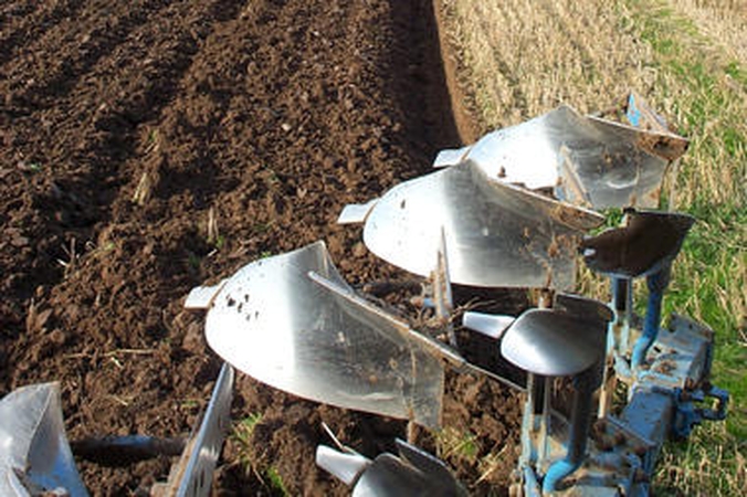 "Agrowill Group": auganti žemės kaina traukia investuotojų dėmesį