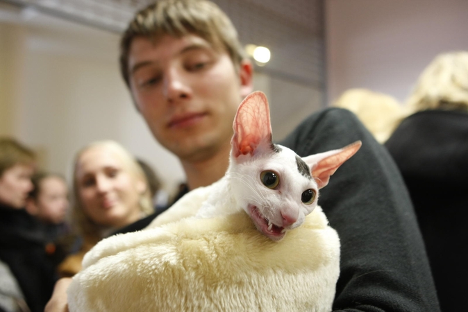 Kačių paroda pritraukė šimtus lankytojų