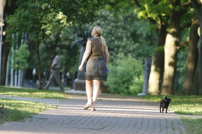 Klaipėdoje siūloma nustatyti tyliąsias zonas