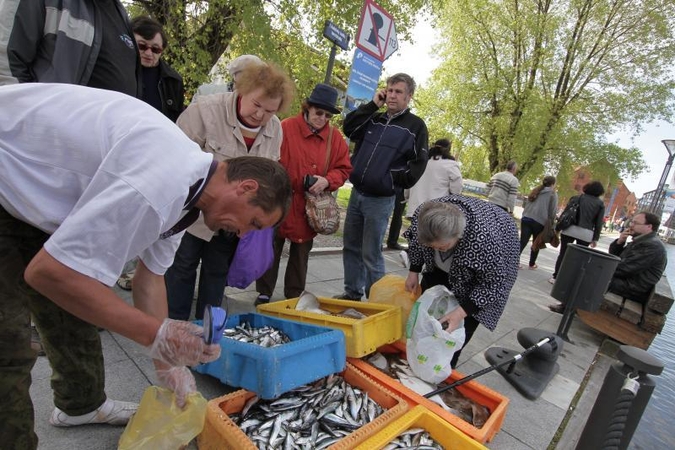 Prekybai šviežiomis žuvimis Klaipėdoje neranda patalpų