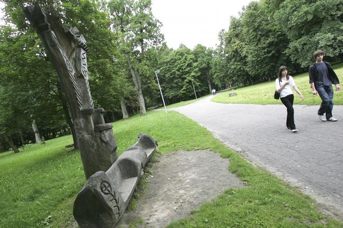Kauno valdžia nori sutvarkyti Ąžuolyną, kad jame galėtų gyventi reti vabalai