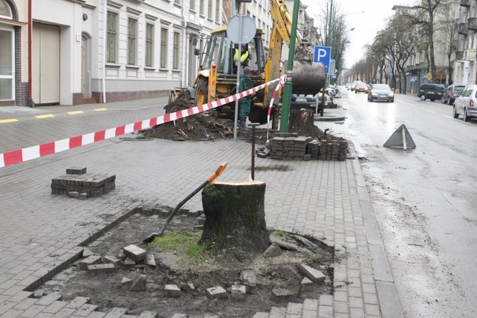 Liepų gatvėje vėl kirs     senus medžius