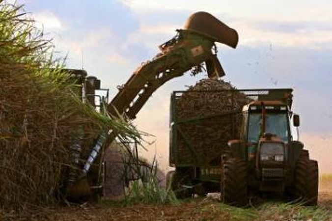 "Linas Agro Group" į lignino įmonę investuos 7 mln. litų