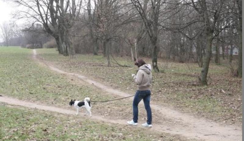 Kapinėse – šunų  vedžiojimo  aikštelė   