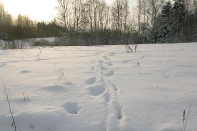 Užsnigtų vienkiemių gyventojus gelbsti kaimynai