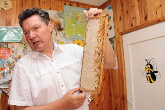 Medus ne tik saldina gyvenimą