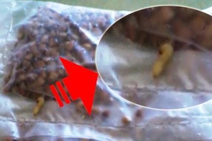 Vilnietis grikiuose aptiko kirmėlių