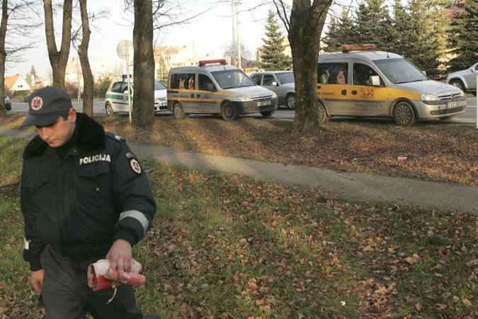 Aleksote rastos gaišenos - mangutų, lapių ir bebro (papildyta)