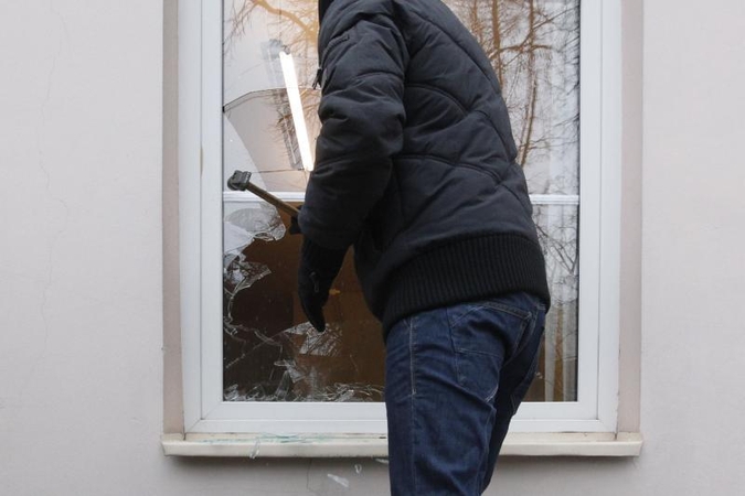 Ilgapirščiai iš Garliavos mokyklos pavogė vejapjovę  