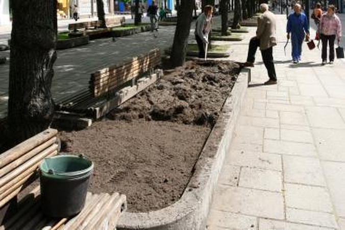 Miesto gėlynams ketinama išleisti iki 100 tūkst. litų
