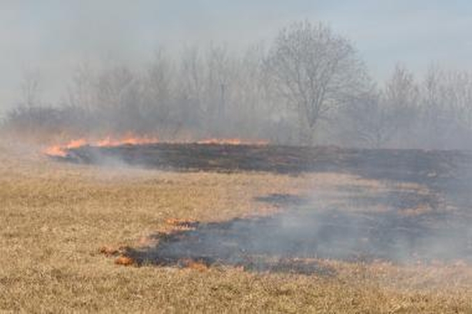 Kaune 400 arų plote degė žolė