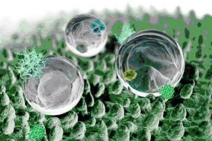 Namų švaros problemas išspręs nanotechnologijos