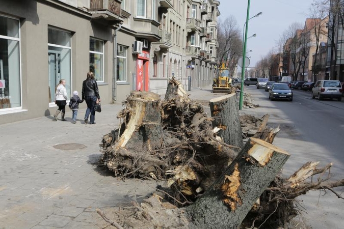 Liepų gatvėje pradės    sodinti medelius