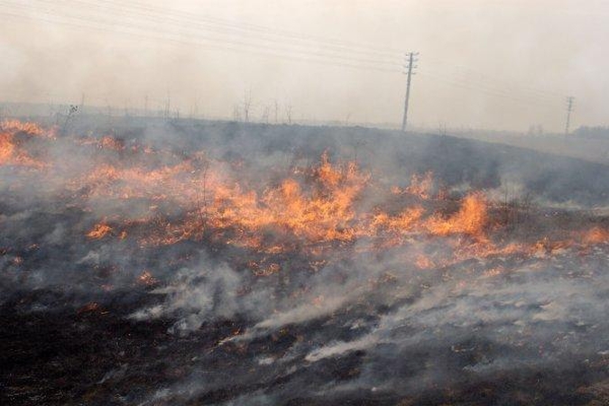 Liepsnojanti pernykštė žolė vos nesudegino sodybų