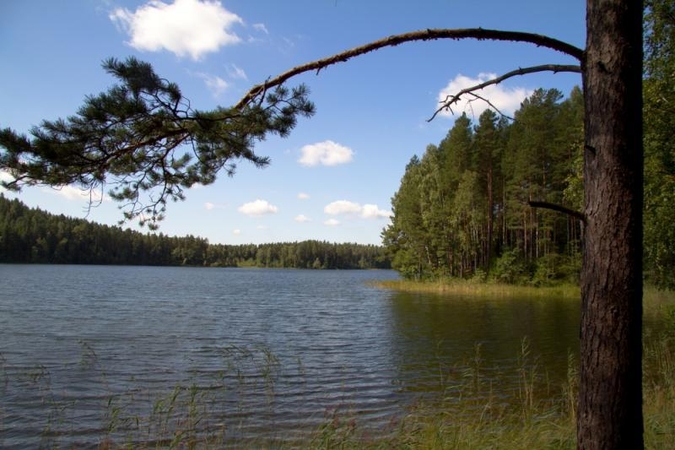 Kelionė miškinguoju Gražutės regioniniu parku