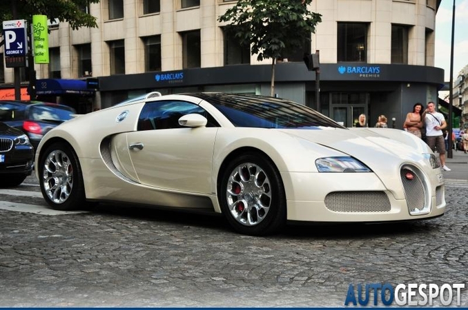 Už pinigus kultūros nenusipirksi: bauda „Bugatti Veyron“ savininkui