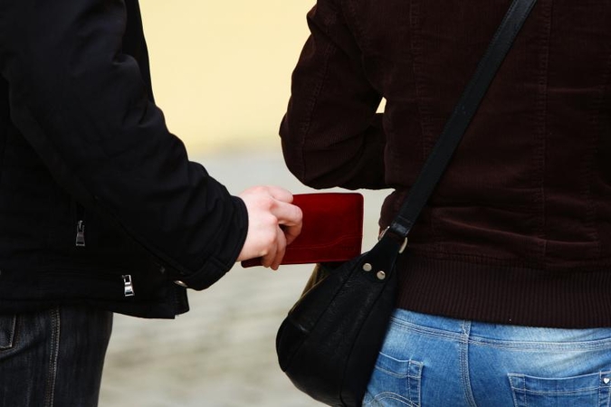 Nuosprendis kišenvagiui – per dvi dienas