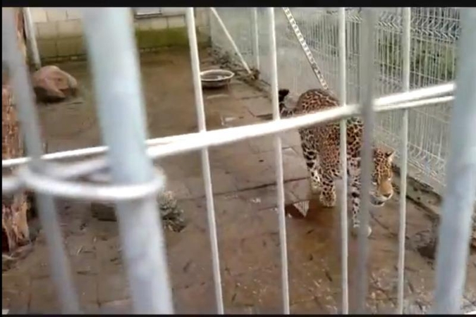 Gyvūnų teisių gynėjai reikalauja uždrausti „Mini Zoo“ veiklą