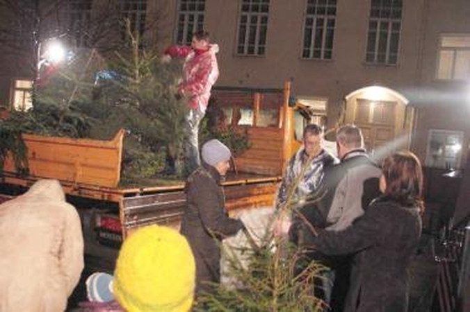 Kalėdinės eglutės šildys vilniečių būstus