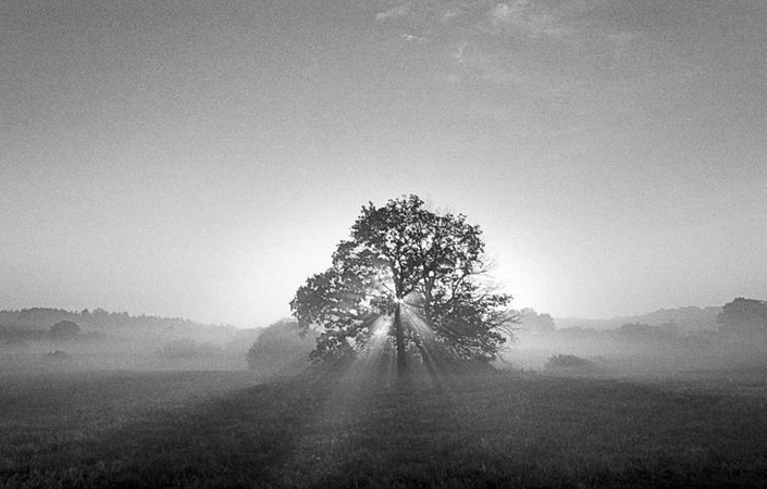 Augustino Našlėno fotografijų parodoje – tolimųjų horizontų pilkuma