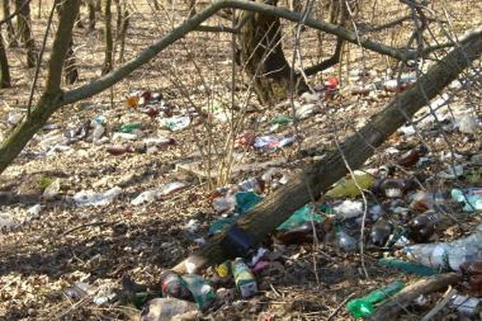 „Vitaresta“ gelbės nuo šiukšlių Panemunės šilo prieigas