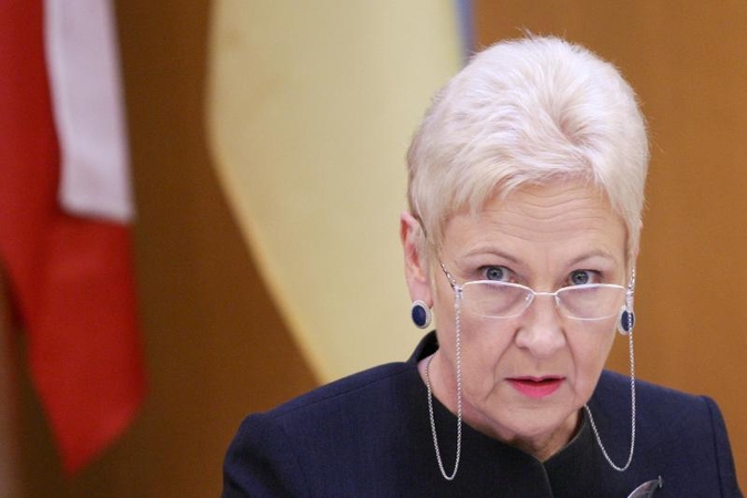 I.Degutienė siūlo keisti ir Aplinkos apsaugos, ir Ekonomikos komitetų vadovus