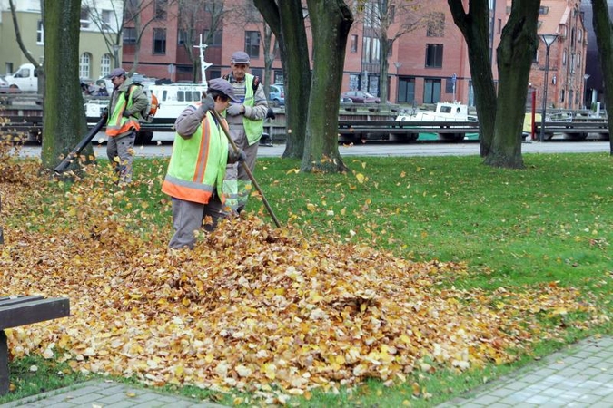 Medžių lapus uostamiesčio parkuose paliks supūti