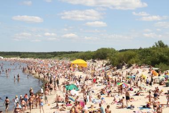 Palangoje vagiama viskas
