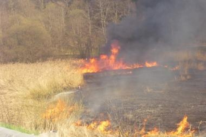 Apdegė degančią žolę gesinusi moteris (papildyta)